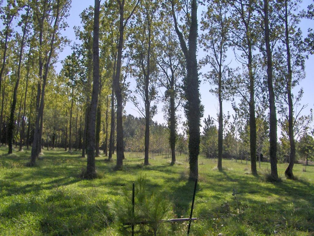 Residence Les Peupliers Loriol-du-Comtat Buitenkant foto