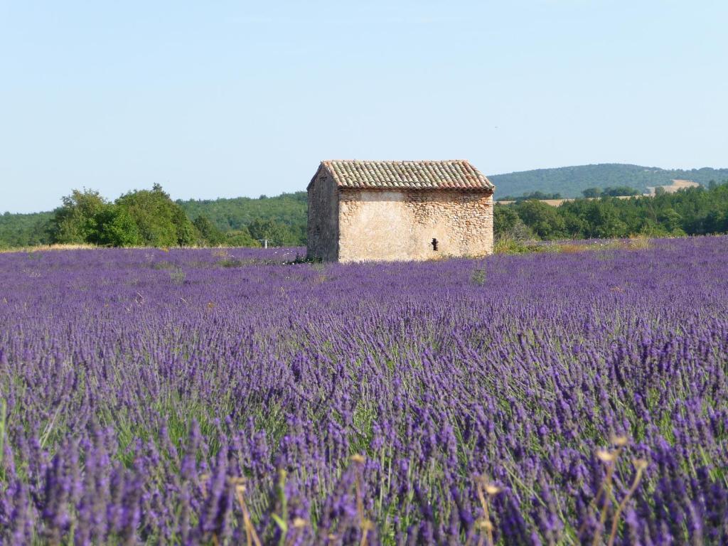 Residence Les Peupliers Loriol-du-Comtat Buitenkant foto